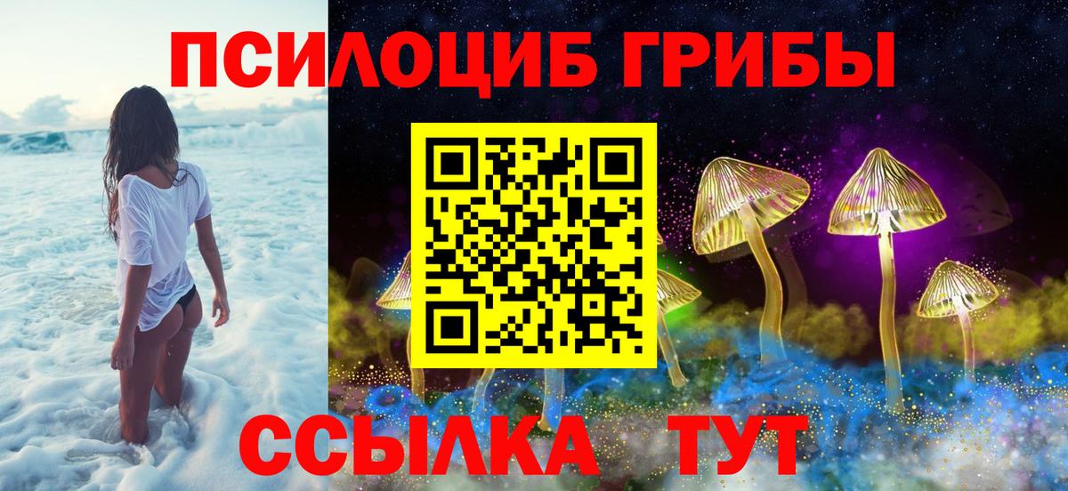 купить  сайты  Псилоцибиновые грибы мухоморы  Вход с VPN  Соль-Илецк 